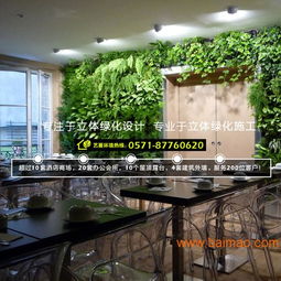 杭州植物墻與綠墻設計施工全解析 從專業設計到價格咨詢